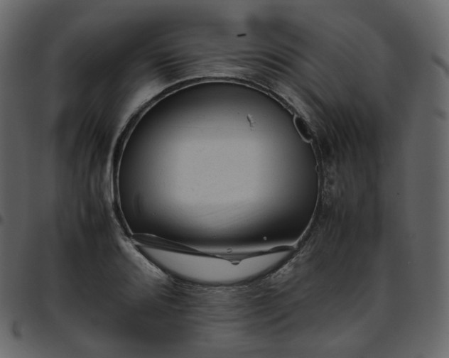 X0000095691080200801221242