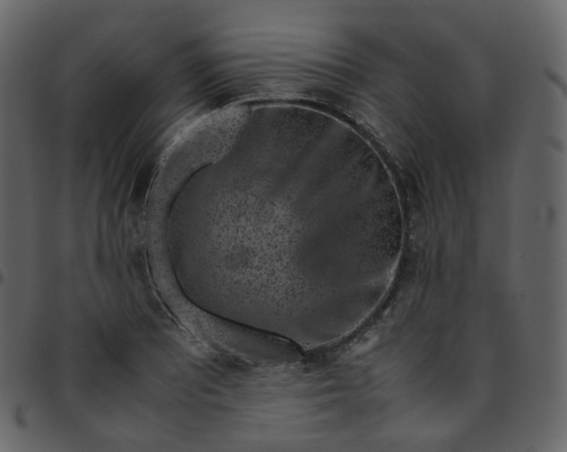 X0000095691081200801221242