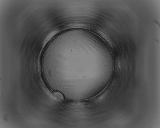 X0000095691082200801221242