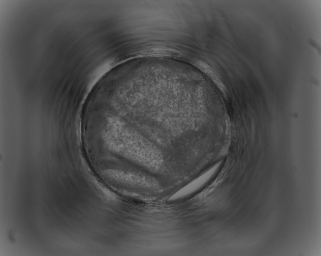 X0000095691083200801221242