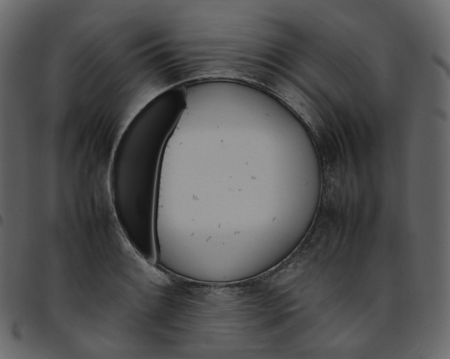 X0000095691084200801221242