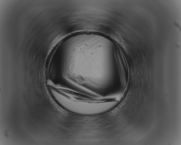 X0000095691085200801221242