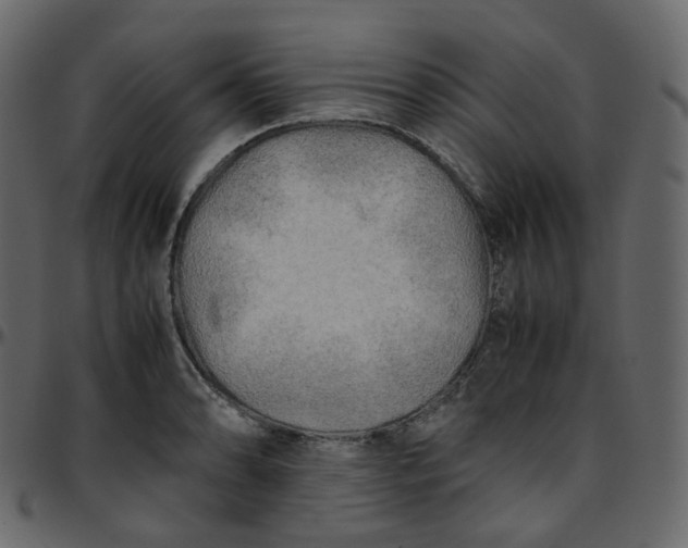 X0000095691086200801221242