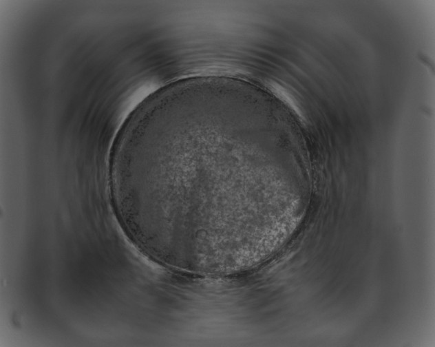 X0000095691087200801221242