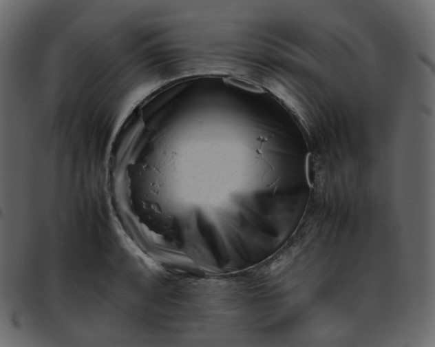 X0000095691088200801221242