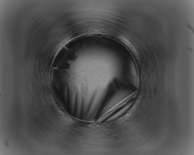 X0000095691089200801221242