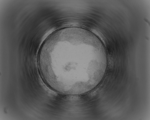 X0000095691090200801221242