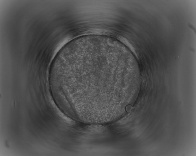 X0000095691091200801221242