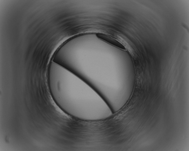 X0000095691092200801221242