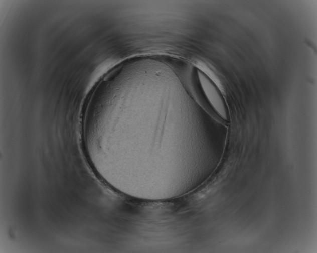 X0000095691093200801221242