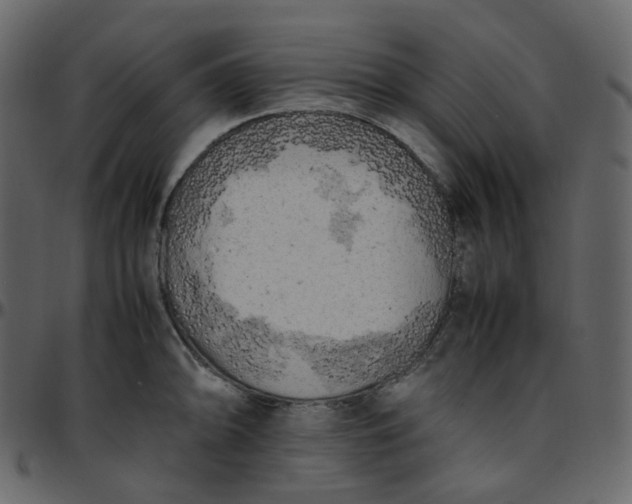 X0000095691094200801221242