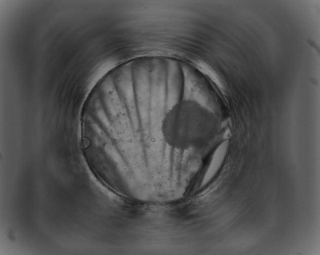 X0000095691095200801221242