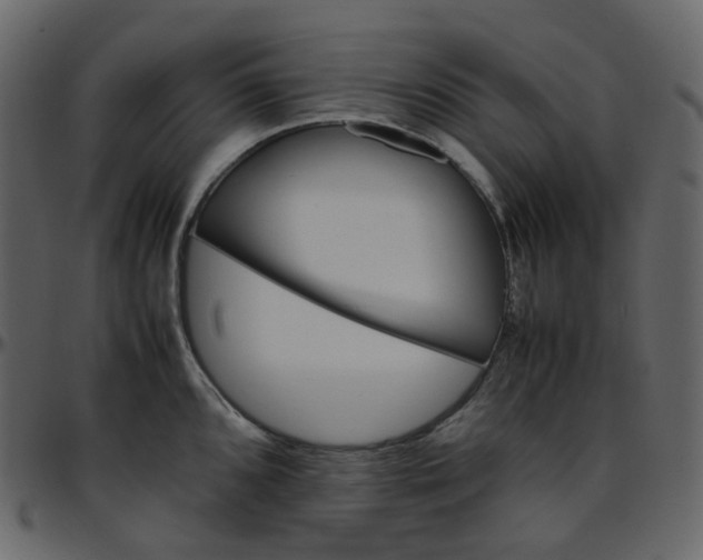 X0000095691096200801221242