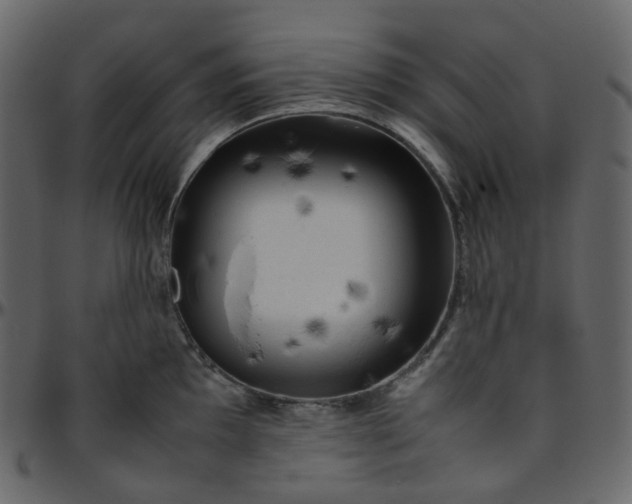 X0000095691097200801221242