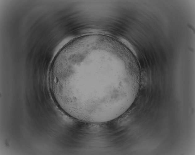 X0000095691098200801221242