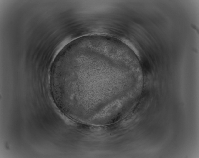 X0000095691099200801221242