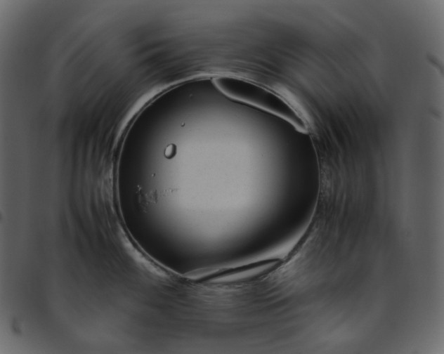 X0000095691100200801221242