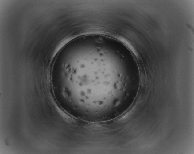 X0000095691101200801221242