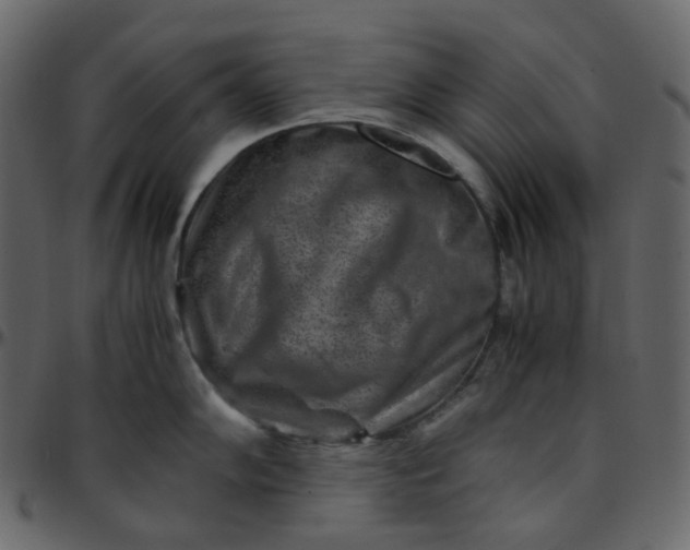 X0000095691102200801221242