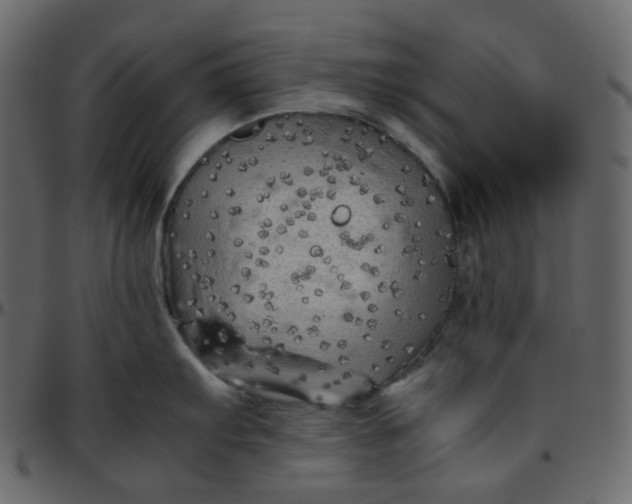 X0000095691103200801221242