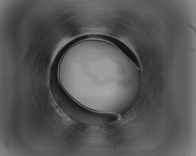 X0000095691104200801221242