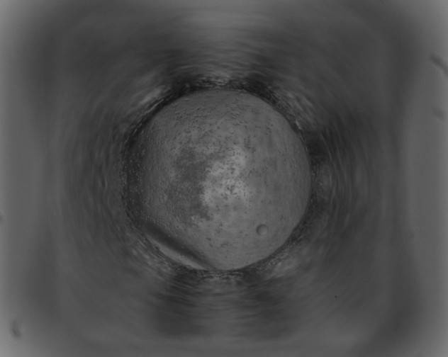 X0000095691105200801221241