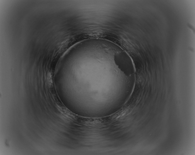 X0000095691106200801221241