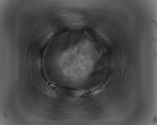 X0000095691108200801221241