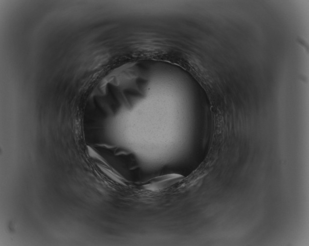 X0000095691109200801221241