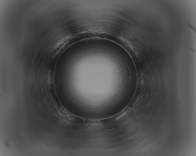 X0000095691110200801221241