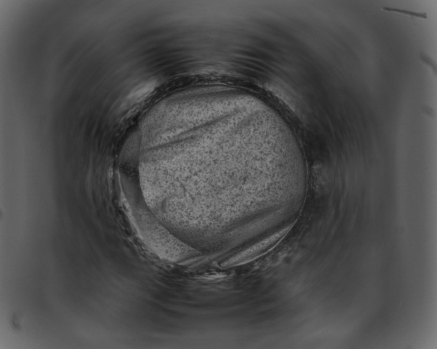 X0000095691111200801221241