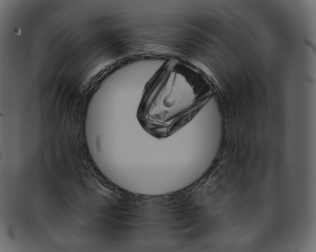 X0000095691112200801221241