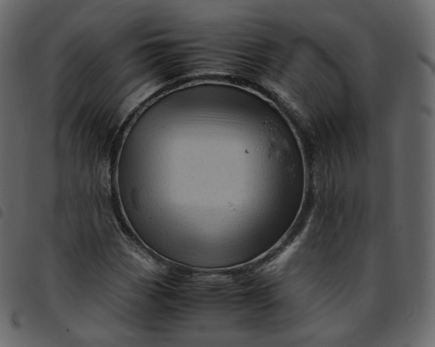 X0000095691113200801221241