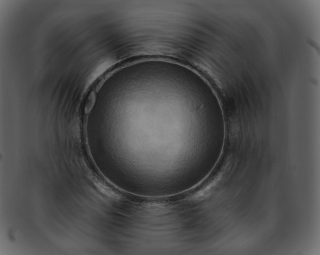 X0000095691114200801221241