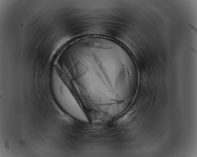 X0000095691115200801221241