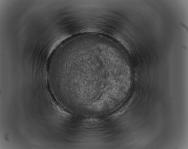 X0000095691117200801221241