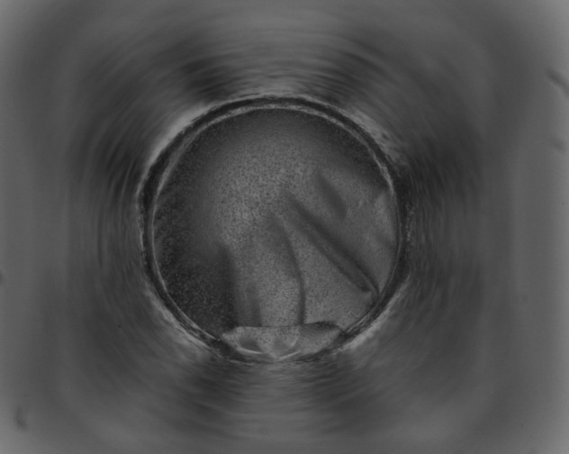 X0000095691118200801221242