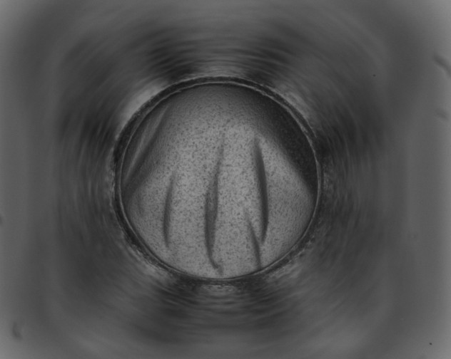 X0000095691119200801221242