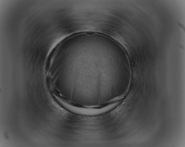 X0000095691120200801221242