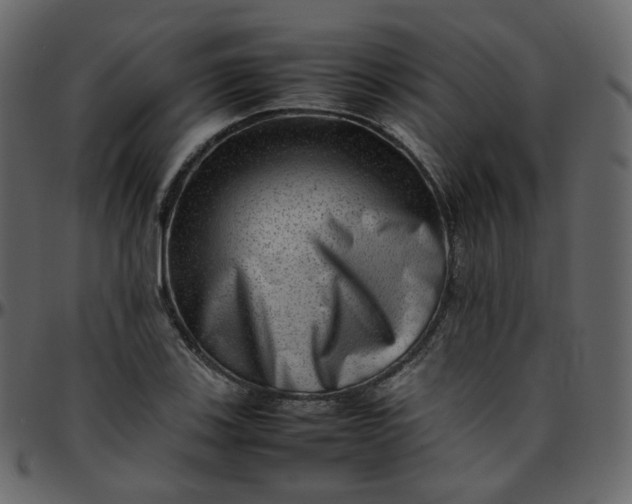 X0000095691123200801221242