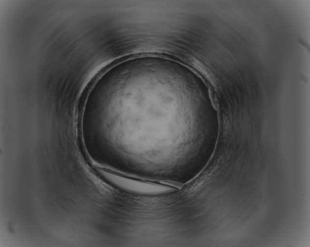 X0000095691124200801221242