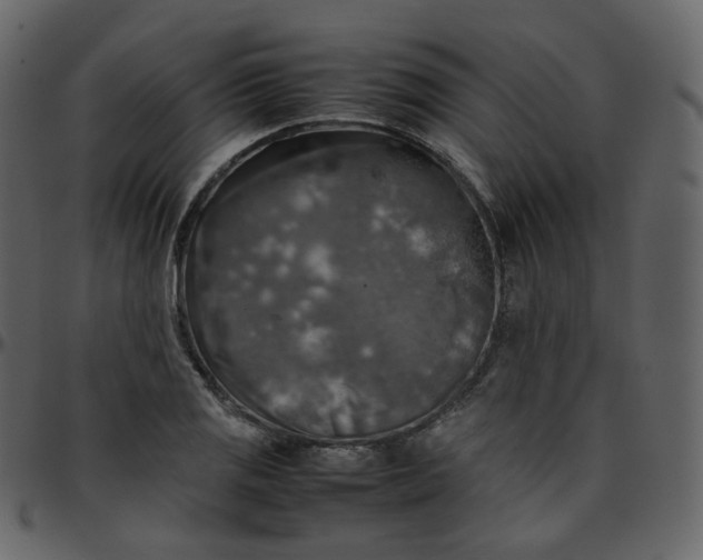 X0000095691125200801221242