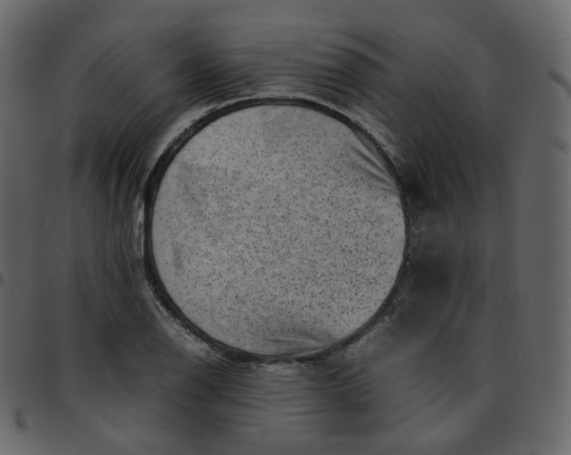 X0000095691126200801221242