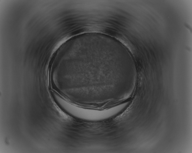 X0000095691127200801221242