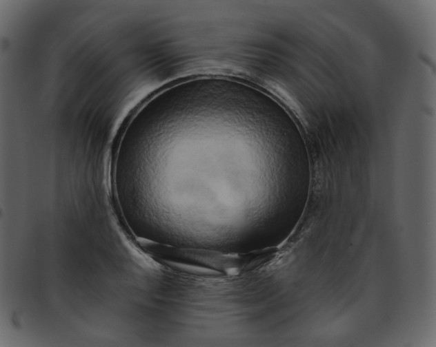 X0000095691128200801221242