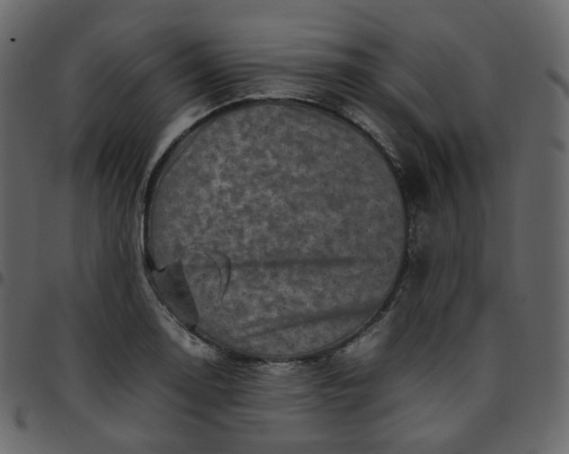 X0000095691130200801221242