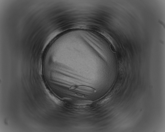 X0000095691131200801221242