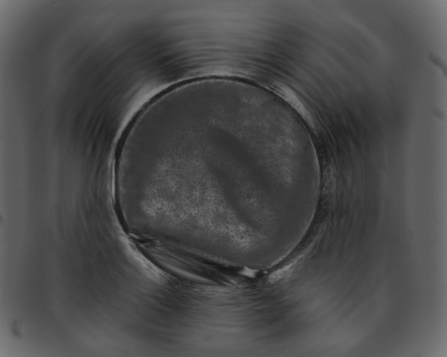 X0000095691132200801221242