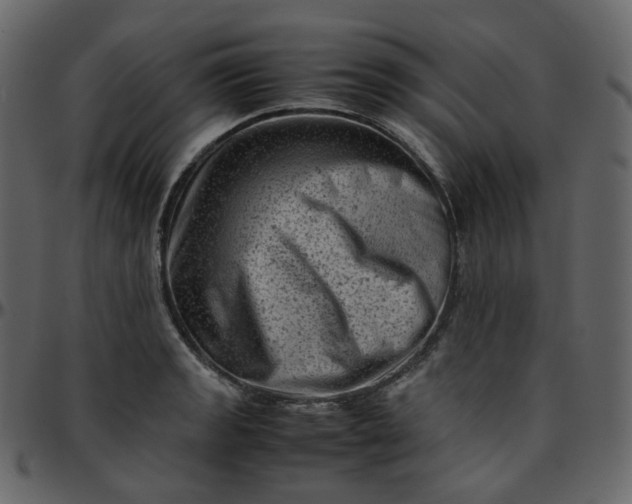 X0000095691133200801221242