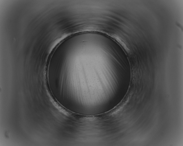 X0000095691134200801221242